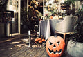 Autumn Leaves Pumpkin Halloween Photo Backdrops Prop