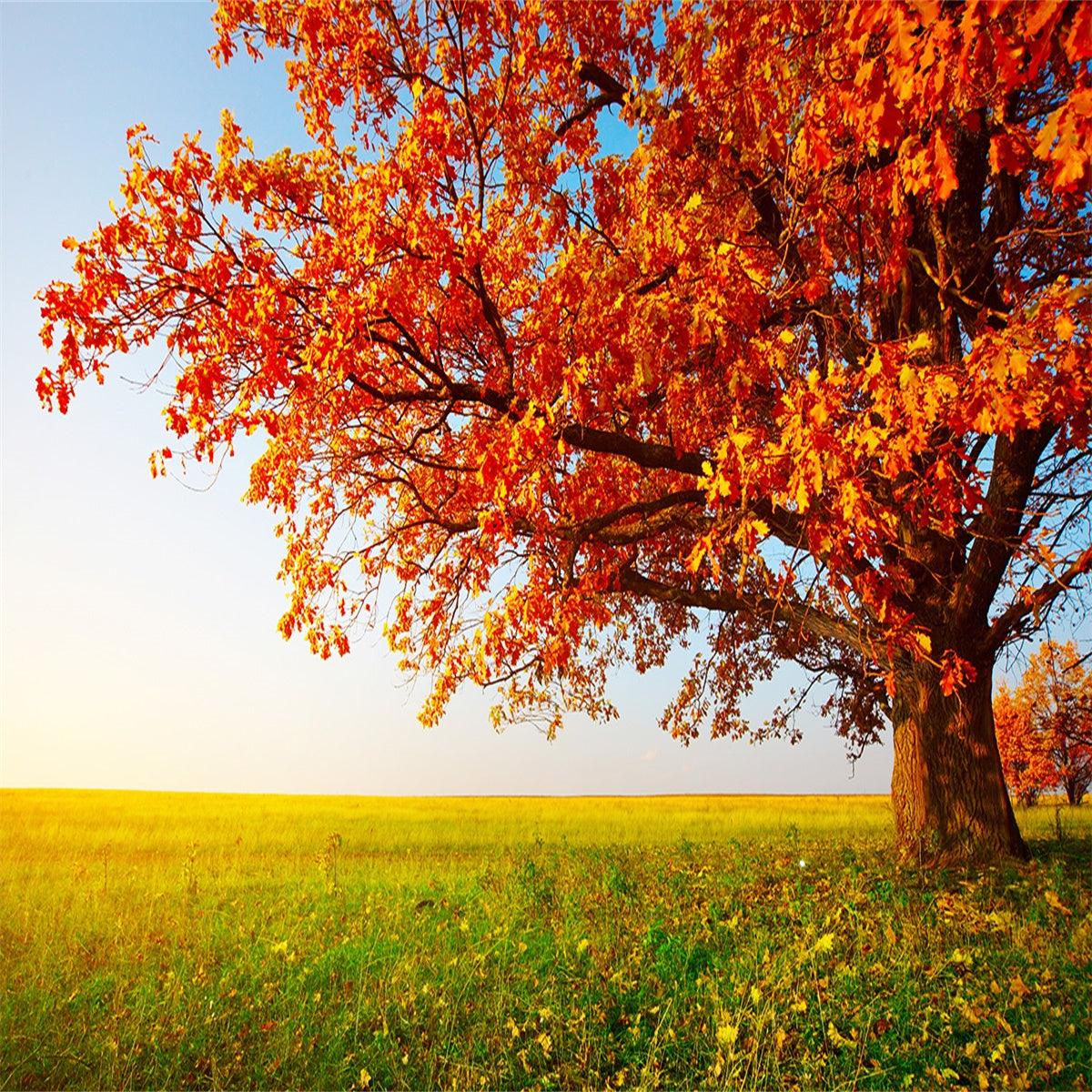 Autumn Forest Red Leaves Backdrop
