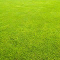 Abstract Green Pattern Photography Backdrops for Picture