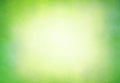Abstract Apple Green Pattern Photography Backdrops