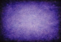 Abstract Pansy Photography Backdrops