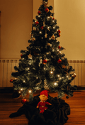 Wood Floor Carpet Christmas Door Backdrop For Studio