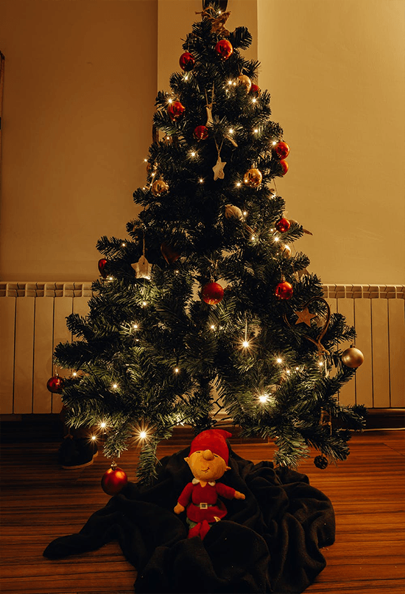 Wood Floor Carpet Christmas Door Backdrop For Studio